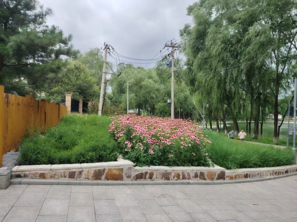 關于開展2025年北京延慶“花園城市”設計競賽的通知