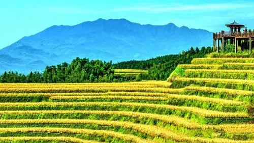 中華傳統農耕蘊含哪些低碳智慧？