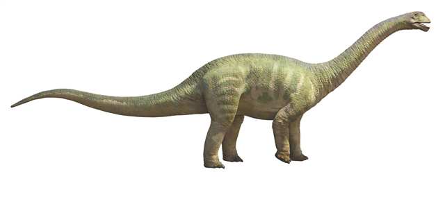 看重慶如何打造“侏羅紀+白堊紀公園”